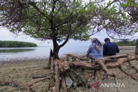 Pemkab Situbondo dorong warga Labuhan Merak tangkap peluang bisnis "homestay"