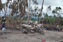 Warga terdampak awan panas guguran Semeru evakuasi barang