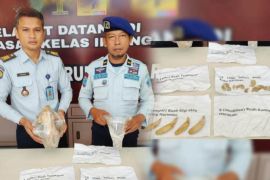 Kanwil Kemenkumham Riau terima  titipan tulang belulang harimau sumatera