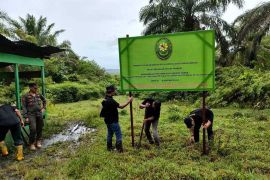 Pemkab Simeulue kembali jadi pemilik perkebunan sawit PDKS