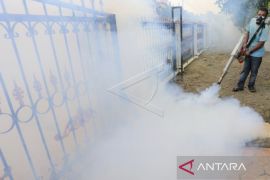 Dinkes Aceh Barat catat 35 kasus DBD sepanjang tahun 2022