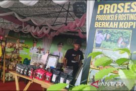Petani kopi serap untung dari Expo HUT ke-57 Tapin