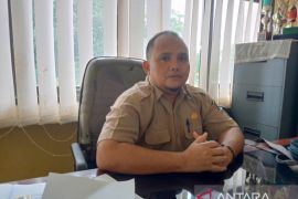 Harga lada di Belitung bertahan Rp75 ribu per kilogram