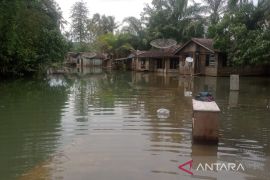 Sebulan sudah air merendam puluhan rumah warga di Tapsel