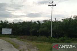 Disperindag Papua Barat rencanakan subsidi distribusi minyak goreng