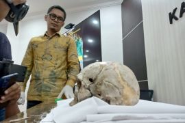 Pemkab Tulungagung terima replika fosil manusia purba "Homo Wajakensis"