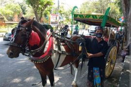 Dispar Denpasar siapkan dokar hias gratis untuk tur dalam kota