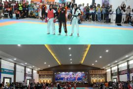 Boyong lima emas, Pidie juara umum cabang olahraga tarung derajat,