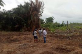 Pemkab Taliabu urai masalah kendala lahan untuk pembangunan Bandara