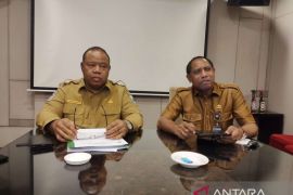 Polhut Sorong tangkap dua truk angkut kayu ilegal