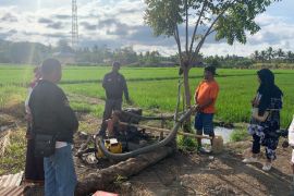 PLN NTT alirkan listrik dukung usaha pertanian di Sikka
