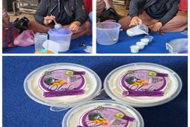 PKM Faterna Unand -- Dadiah Susu Kerbau Murrah dengan Cup Plastik Guna Tingkatkan Pendapatan Keluarga Peternak Kerbau Murrah di Nagari Kapau