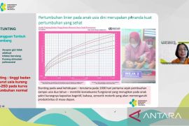 Kemenkes: Jaga ibu hamil agar tidak alami anemia untuk cegah stunting