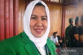 Legislator Kapuas apresiasi kinerja DP3APPKB tangani kasus anak