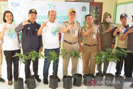 Jaksel berharap alpukat Cipedak di Ciliwung bermanfaat bagi warga