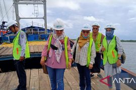 Pemerintah Pusat bantu pupuk untuk tingkatkan produktivitas pertanian Natuna