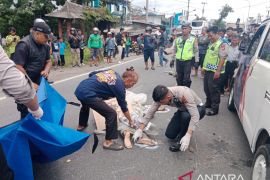 Pengendara sepeda motor tewas terlindas Bus Damri di Sukabumi