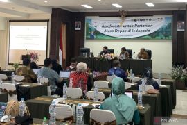 Pemerintah  siapkan 25 lokasi IAD usung skema Smart Agroforestri
