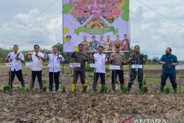 Warga Muara Jaya inginkan bantuan alsintan dan irigasi