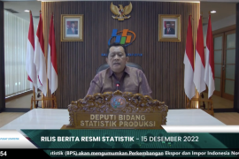Impor beras RI didominasi beras hancur