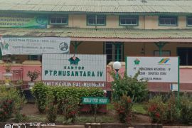 Penuturan kakek 84 tahun, penggarap pertama lahan PTPN IV Kebun Balimbingan