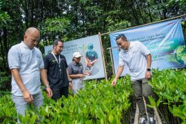 Telkomsel dukung pengurangan emisi karbon lewat "carbon offset"