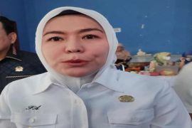 Pemkot Palembang tambah zebra crossing di sekolah