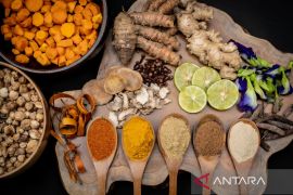 KemenKopUKM bersinergi dengan Sido Muncul kembangkan rantai pasok komoditas bahan baku jamu