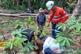 Indocement tanam pohon perbaiki lingkungan