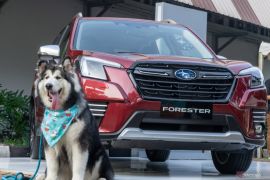 Subaru "Loves Pets" hadir di Pet Kingdom PawJog 2022