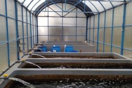 Jumlah tersangka pengadaan "nanobubble" PDAM Balikpapan bisa bertambah