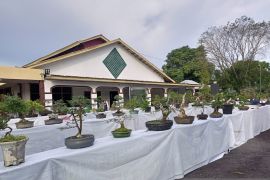 PT Timah Tbk Dukung Pameran Bonsai dan Aquascape di Bangka Barat
