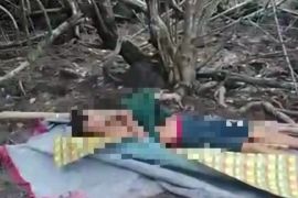 Penebang liar asal Meranti tewas diterkam harimau di Siak