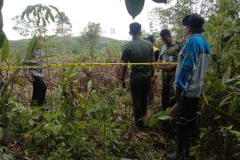 Polres Tabalong pasang garis polisi di lahan PT TWK