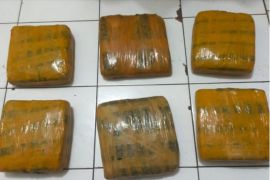 Polisi sita 6 kg ganja hendak diedarkan malam tahun baru