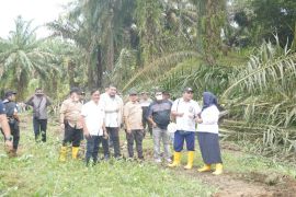 Suguh hati nengalir untuk penggarap, eksekusi lahan PTPN IV berlangsung lancar