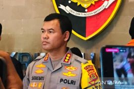 Polda Bali: Jembatan ambruk di Nusa Penida karena kelebihan beban