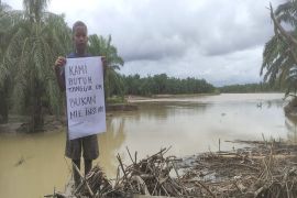 Kerusakan tanggul sungai Aceh Tamiang makin parah, warga sampaikan pesan melalui poster
