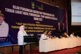 Inspektorat Bengkalis luncurkan aplikasi BESTIE