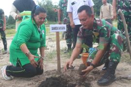 Korem 045 tanam ribuan pohon buah di lahan bekas tambang timah