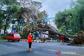 BPBD siap siaga tangani dampak bencana akibat cuaca ekstrem di Sabang