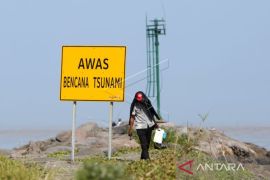 Indonesia maps tsunami causes to improve disaster preparedness