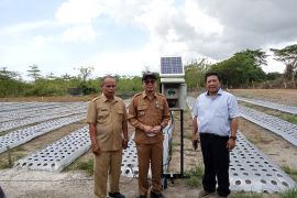 Pemkab Bangka Tengah perkuat sektor pertanian guna pulihkan ekonomi warga