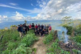 Ladang 11 hektare ganja di Sumatera Utara digerebek