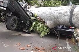 Five regions in W Nusa Tenggara affected by weather-related disasters