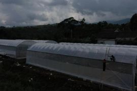 Program pertanian Smart Green House, meningkatkan produksi dan gaet milenial