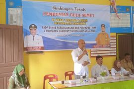 Kadin Langkat dorong pertumbuhan pembuatan gula semut