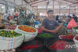 Harga cabai rawit di Banda Aceh tembus Rp50 ribu per kilogram