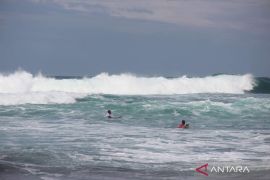 Enam klub ikuti ekshibisi selancar di Pantai Amban Manokwari