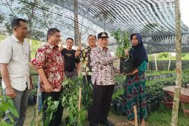 Pemkab Aceh Jaya bagikan 18 ribu bibit cabai tekan inflasi